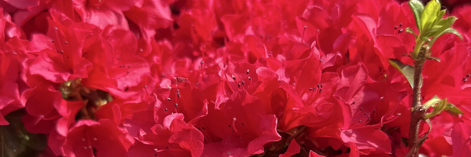 2332373's profile banner image