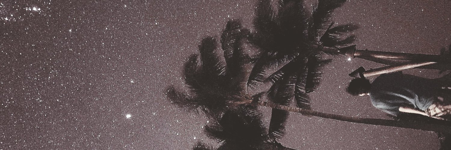 aufaoktia's profile banner image