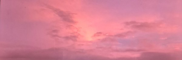 522_silver Profile Banner