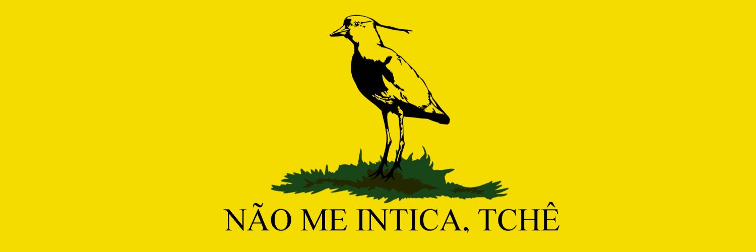 João Vitor 🧉⚒𝕏 banner