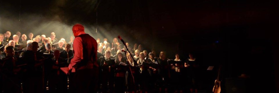 Voices of Bray banner