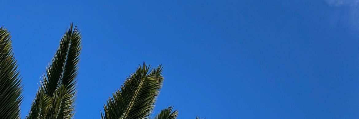 uthini__'s profile banner image