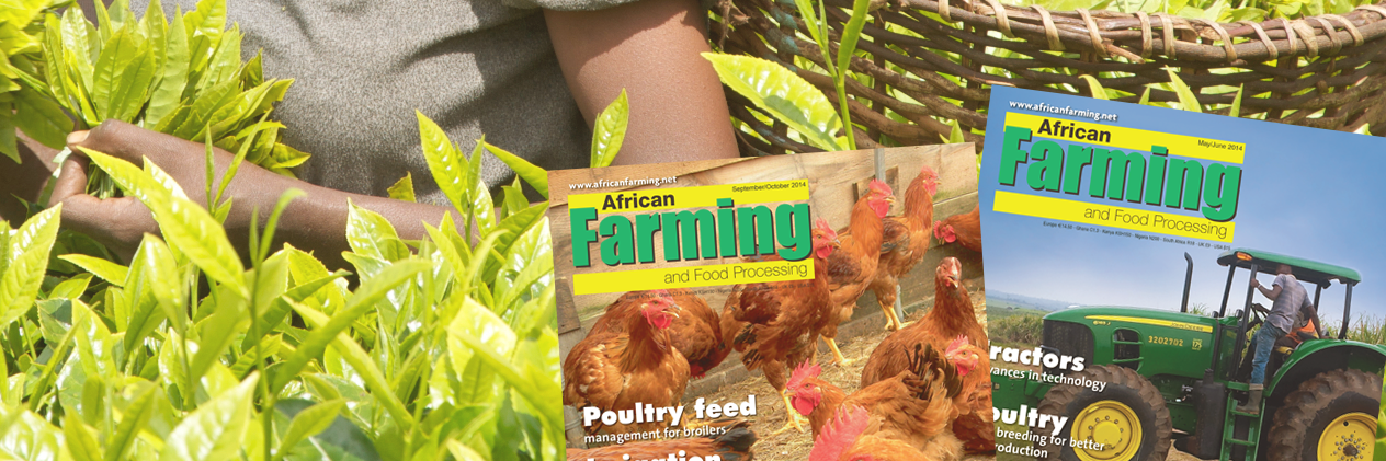 African Farming banner