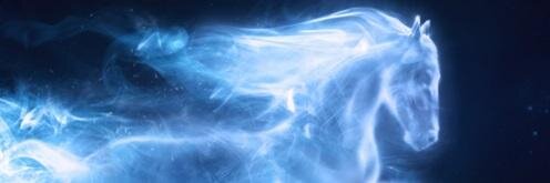 GinnyW_PR's profile banner image