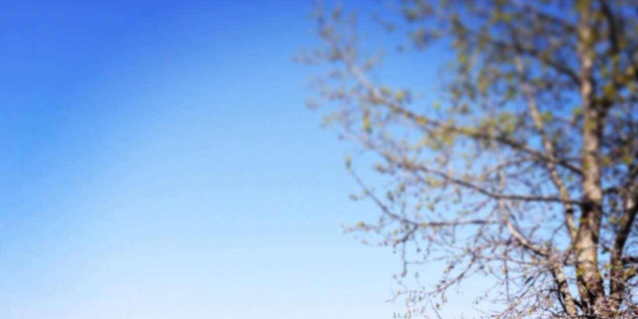TrulyTrulyFree's profile banner image