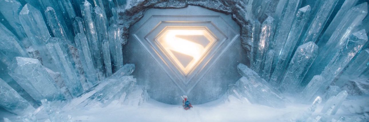 Chris Coleman banner