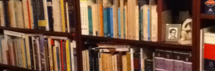 LuisaCasaux 🏳️‍🌈🧑🏻‍💻 banner