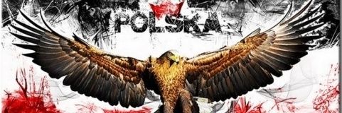 🇵🇱 ToMeK 🇵🇱 banner