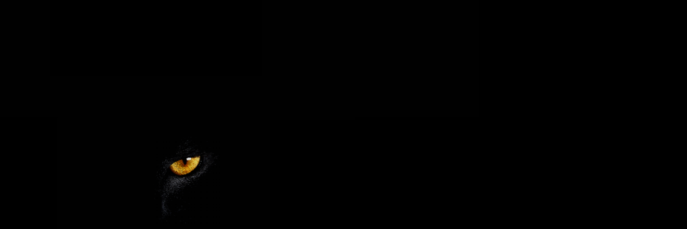 SocialGK's profile banner image