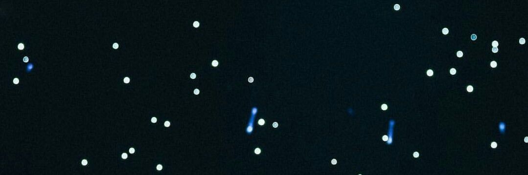 andreadgs_'s profile banner image