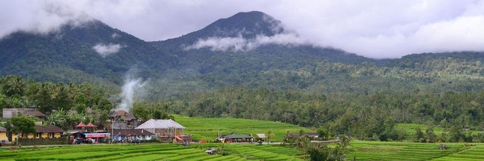 balistory's profile banner image