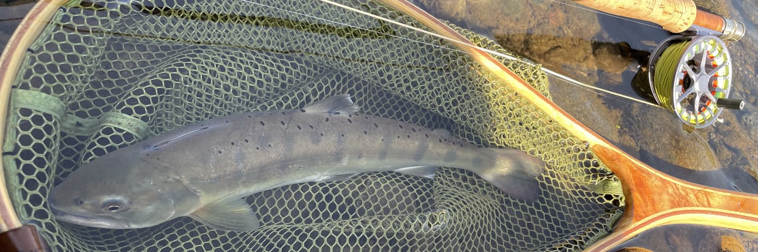 たぁとぉ〜 banner