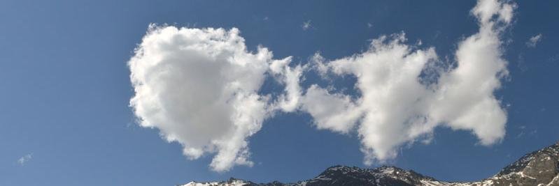 Bhanwar S. Rathore banner