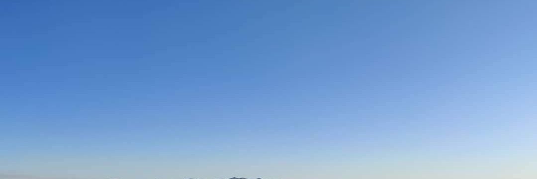 Spungee Goodness banner