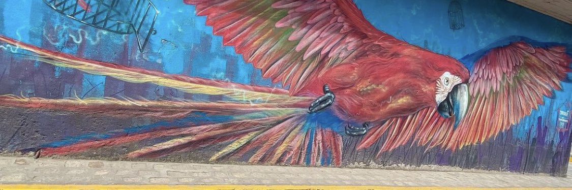 Curt Hamilton banner