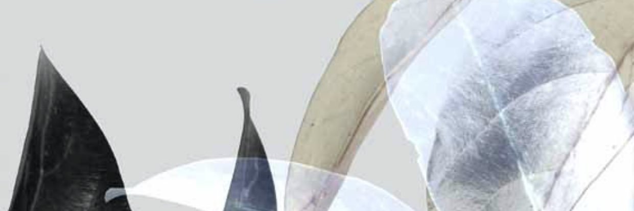 kkanps's profile banner image