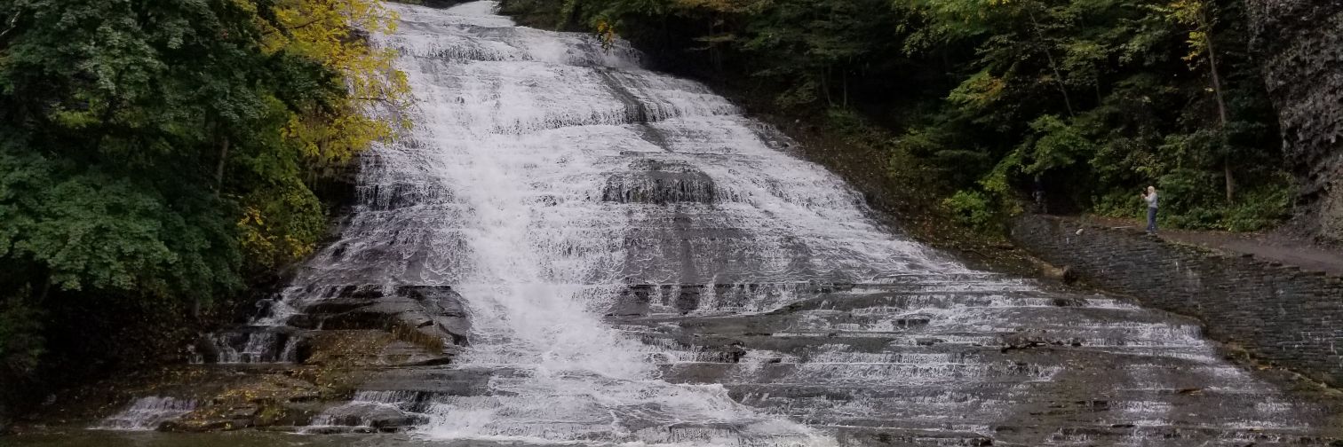 Rod Ghassemzadeh banner