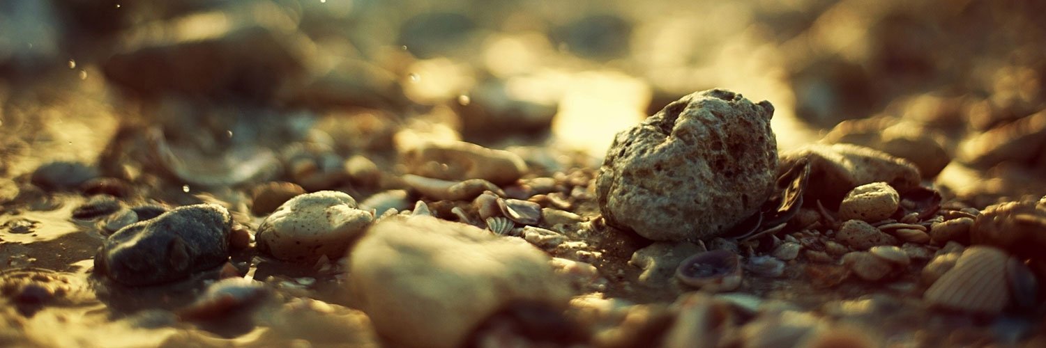 AntonLysyakov's profile banner image