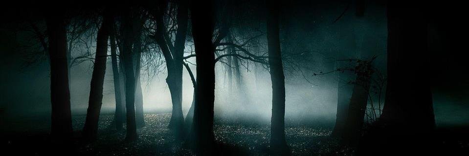 ImRbalmuri's profile banner image