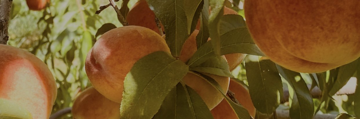 xbgilx's profile banner image