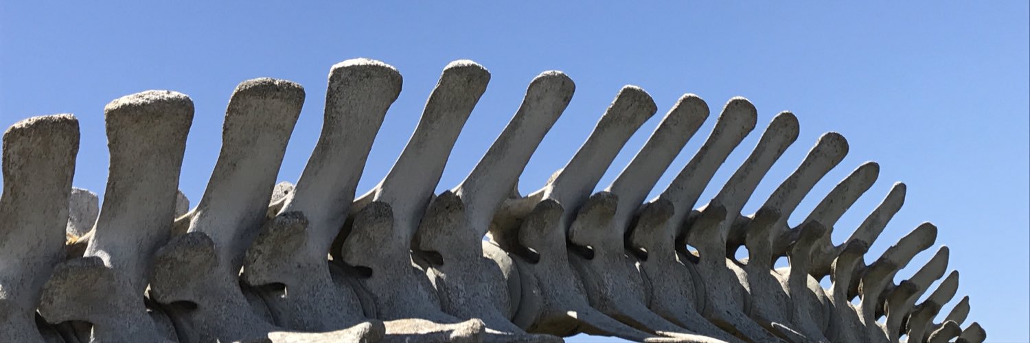 colleen_stone's profile banner image