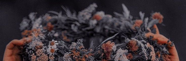 PaulaAngela18's profile banner image