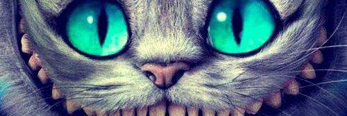 vickymercado06's profile banner image