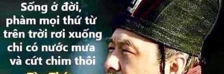 Tran Van Thang banner