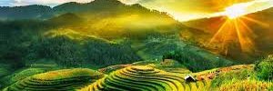 Furkan banner