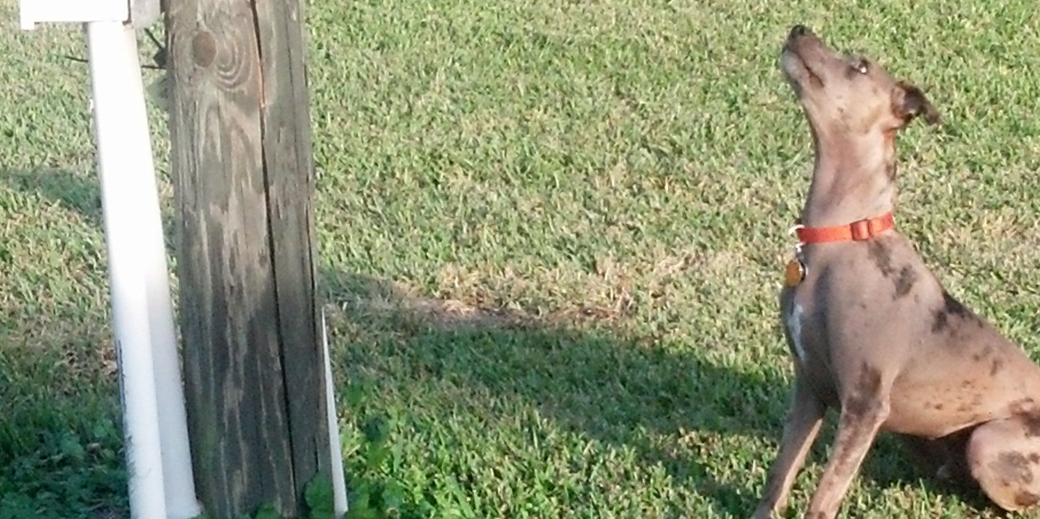 derrickmott1's profile banner image