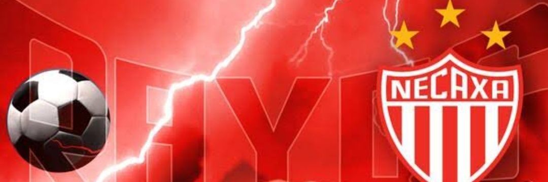 Leo Yver banner