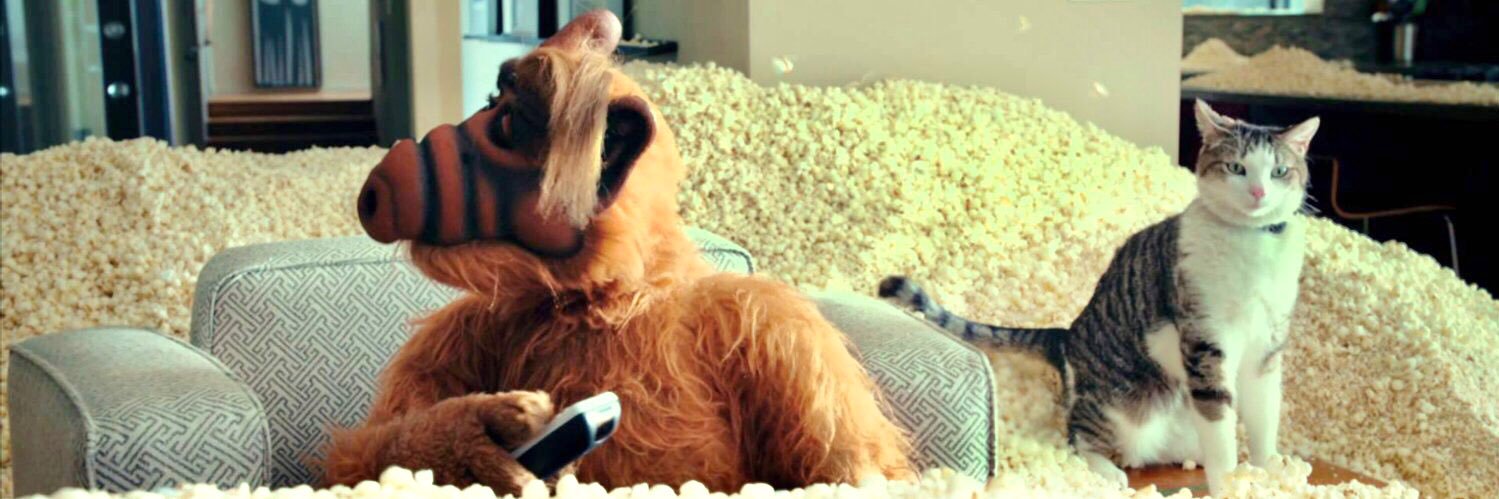 Gordon Shumway banner