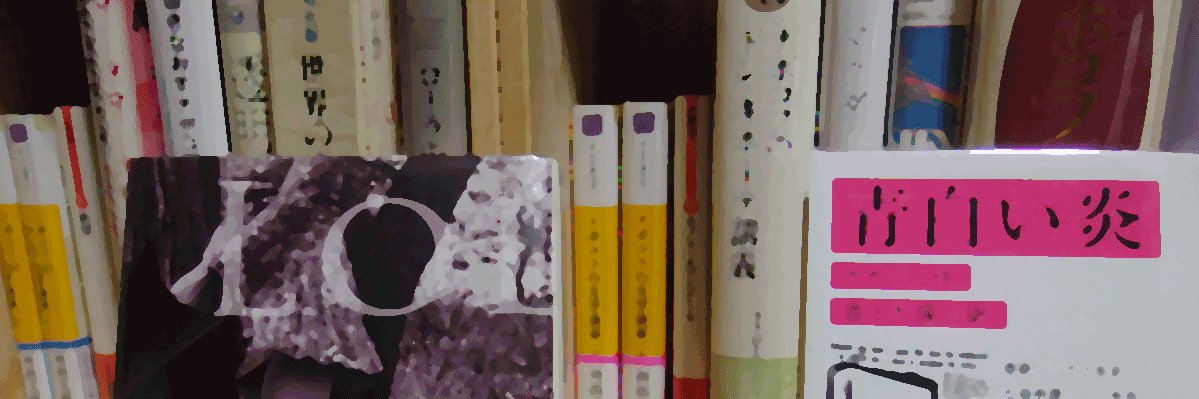 sunshindo's profile banner image