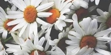 _Chrissy1314_'s profile banner image