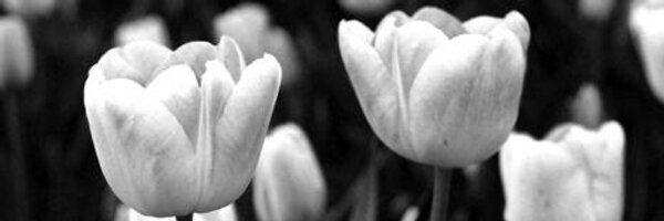 YourMamaIsRight Profile Banner