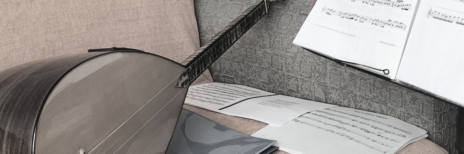 hislihamsi's profile banner image