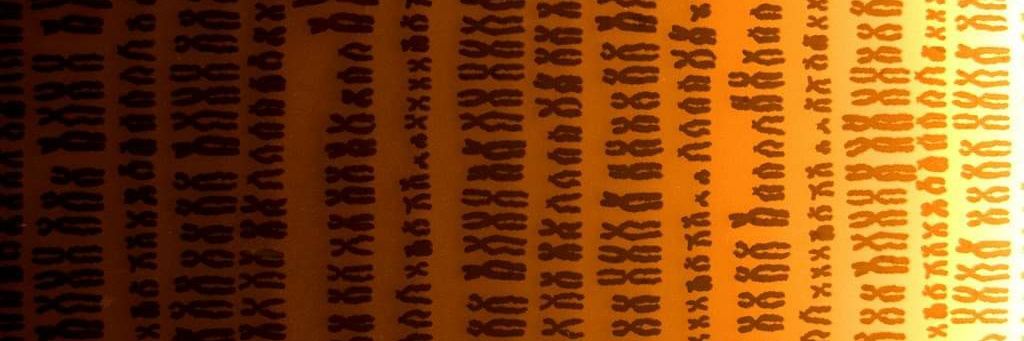 Dario Righelli banner