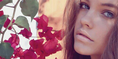 Barbie Romero banner