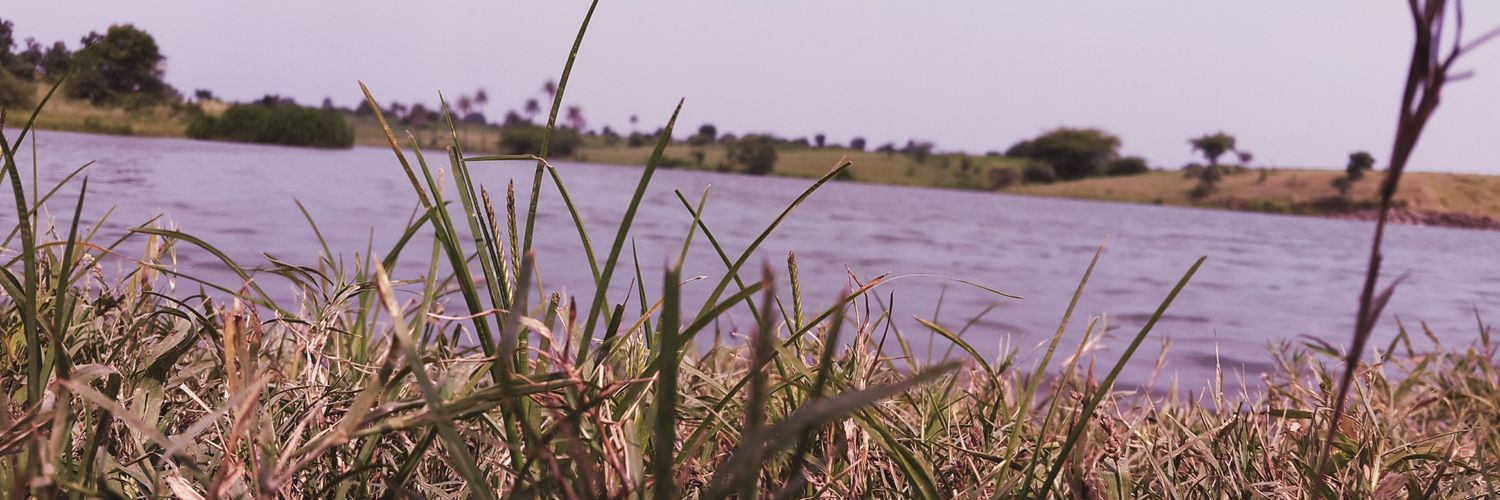 Rathi23's profile banner image
