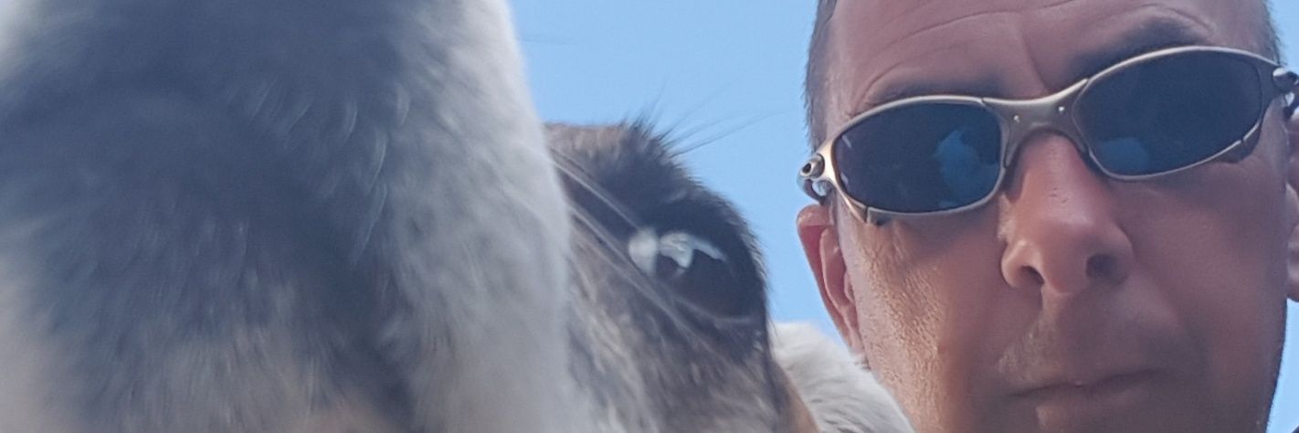 paulherbie1's profile banner image