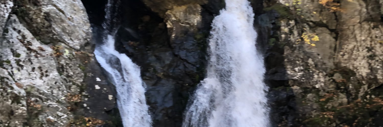 Hardycharchar's profile banner image