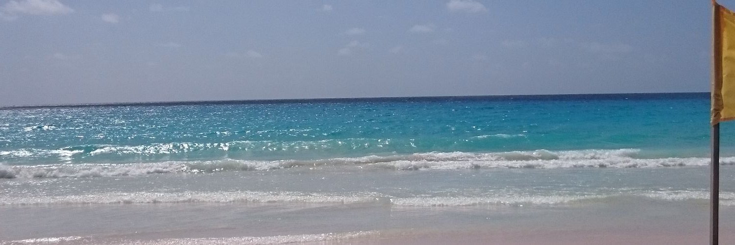 Serena Walker banner