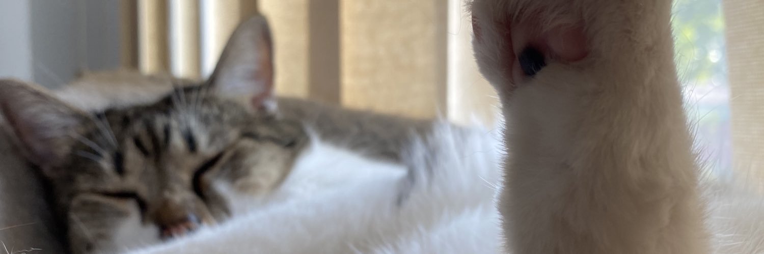dobrrraa's profile banner image