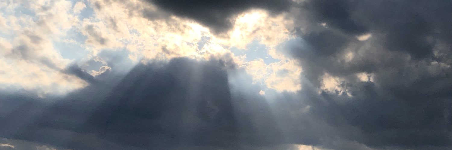 Michael Snyder banner