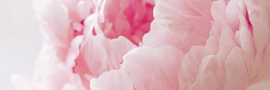 H_TaylorTeach's profile banner image