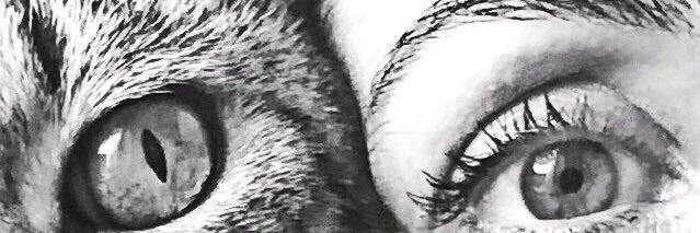 Mabel Avila 💚 banner