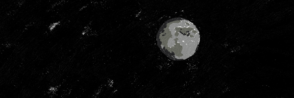 niewoehner Profile Banner