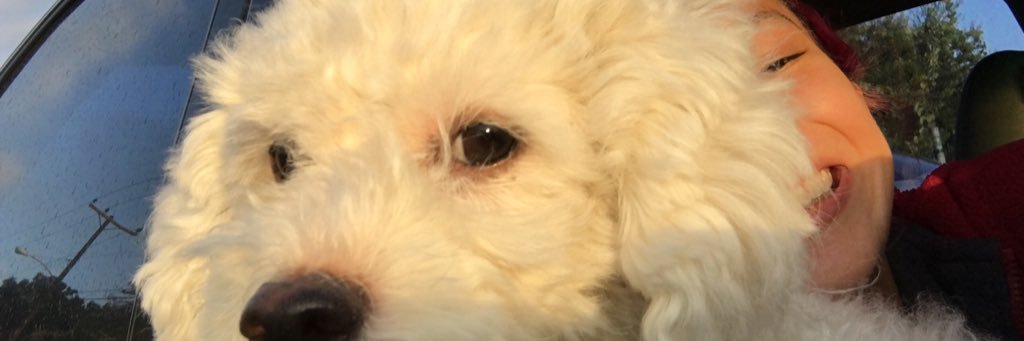 alexispantoja52's profile banner image