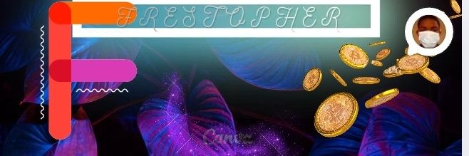 frestopher's profile banner image