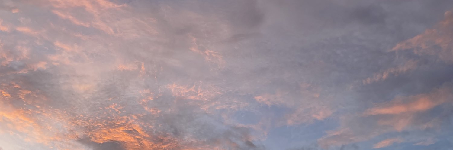 deviocvn's profile banner image